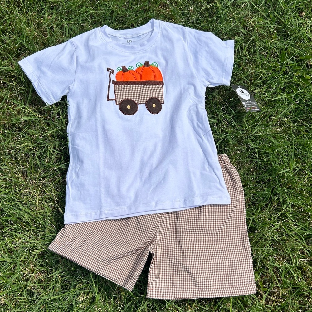 Pumpkin set NWT
